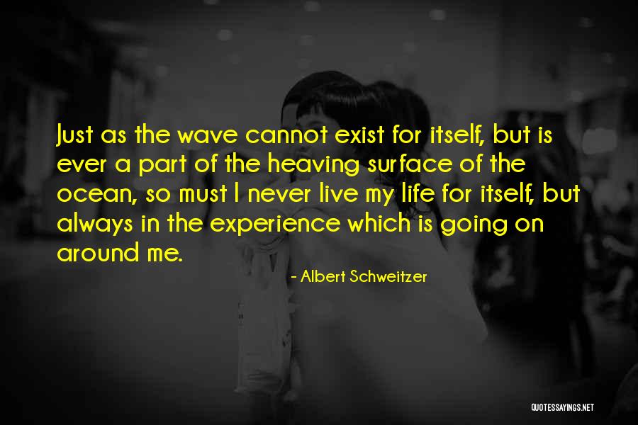 Domenika Marzione Quotes By Albert Schweitzer Domenika Marzione Quotes By Albert Schweitzer