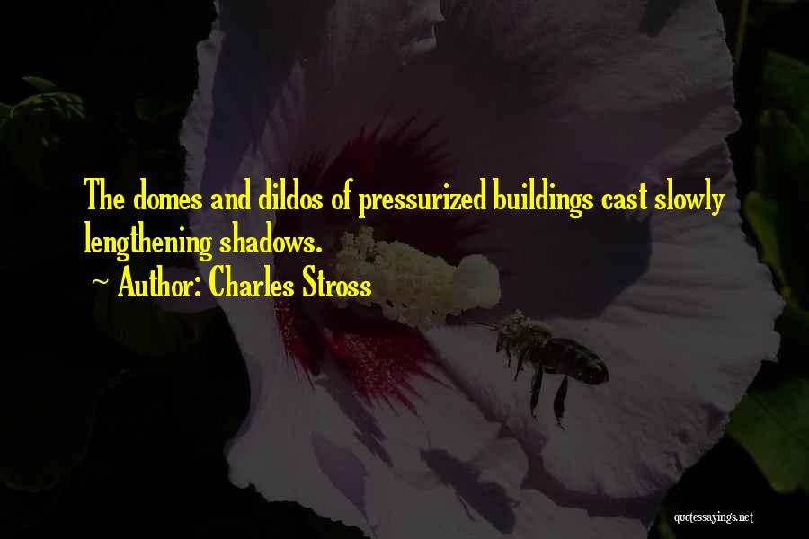 Domes Quotes By Charles Stross