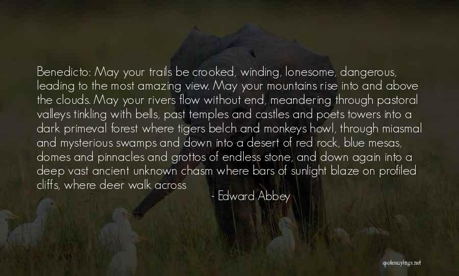 Domes Quotes By Edward Abbey