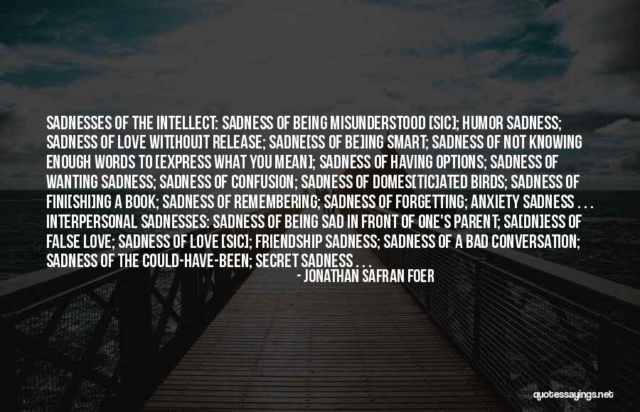 Domes Quotes By Jonathan Safran Foer