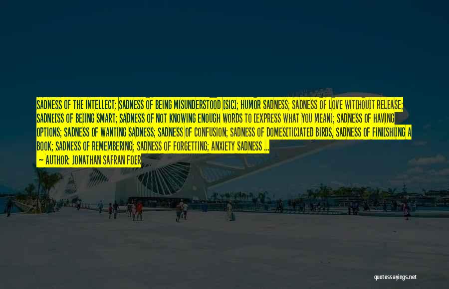 Domes Quotes By Jonathan Safran Foer