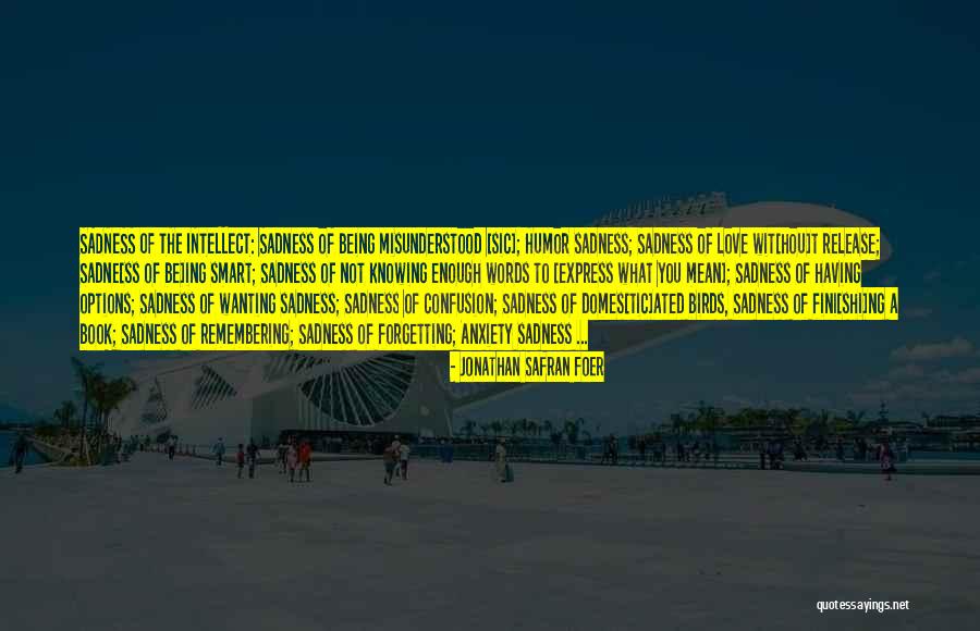 Domes Quotes By Jonathan Safran Foer