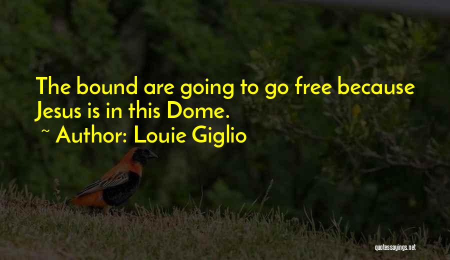 Domes Quotes By Louie Giglio