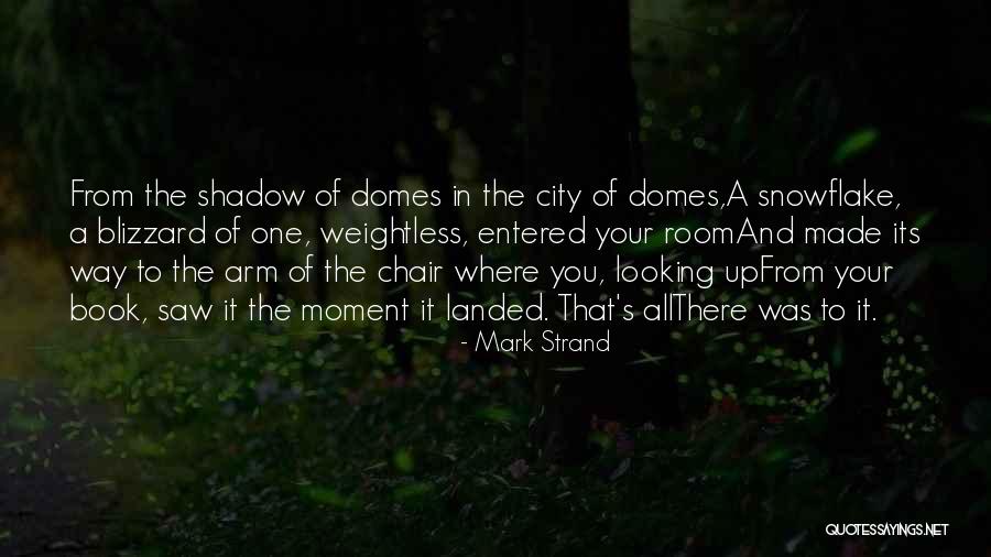 Domes Quotes By Mark Strand