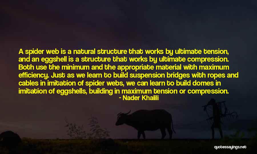 Domes Quotes By Nader Khalili