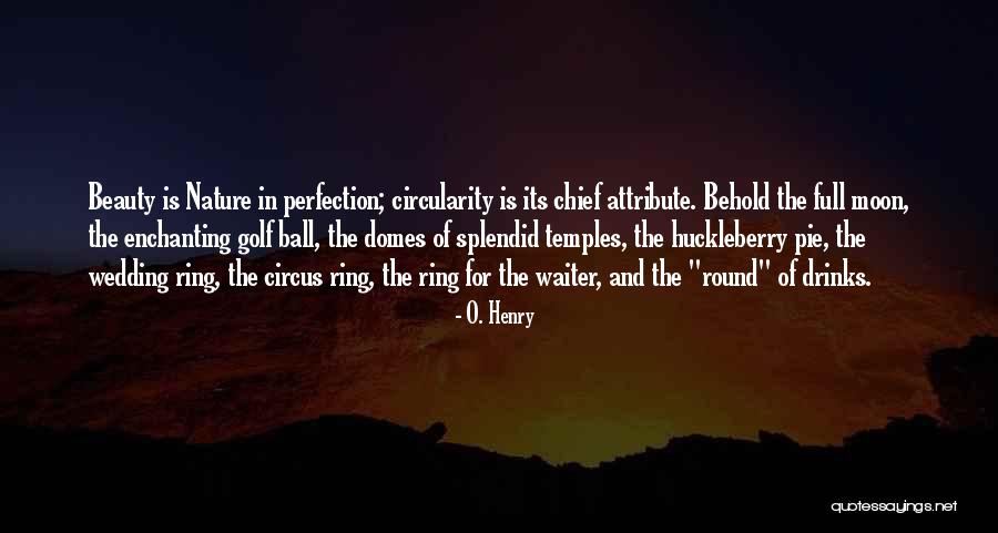 Domes Quotes By O. Henry Domes Quotes By O. Henry