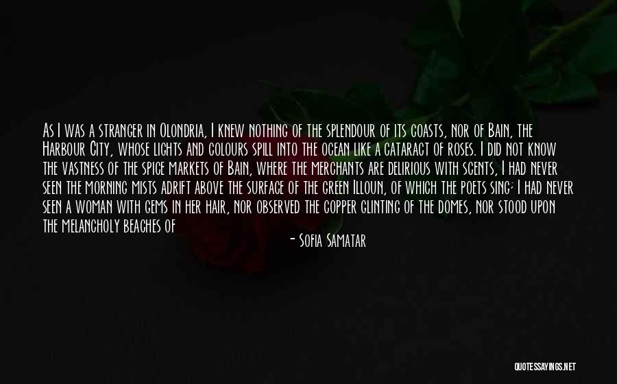 Domes Quotes By Sofia Samatar Domes Quotes By Sofia Samatar