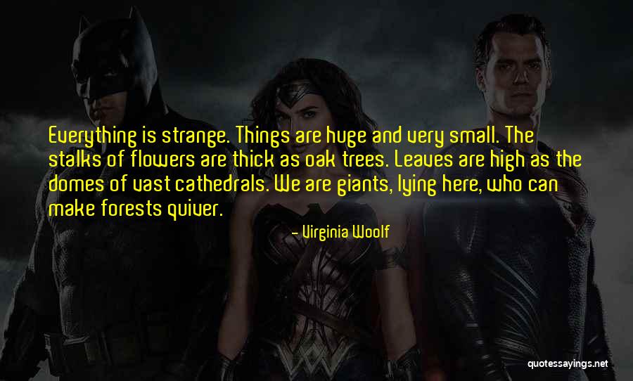 Domes Quotes By Virginia Woolf Domes Quotes By Virginia Woolf