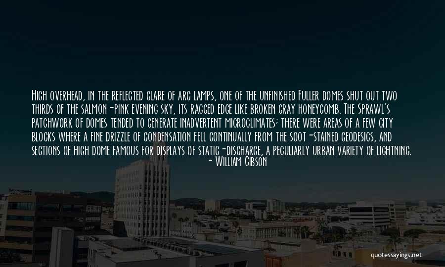 Domes Quotes By William Gibson Domes Quotes By William Gibson