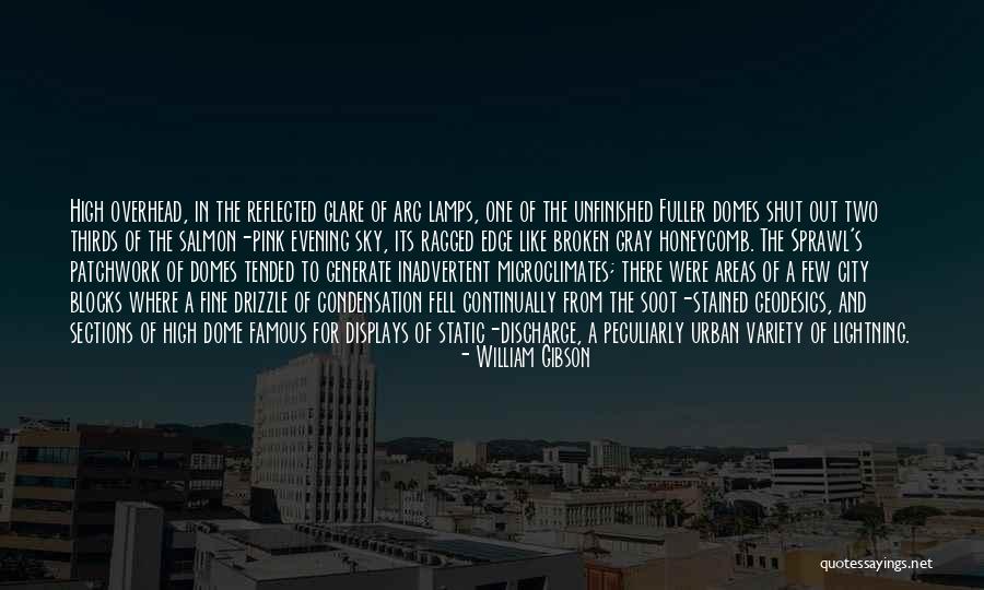 Domes Quotes By William Gibson