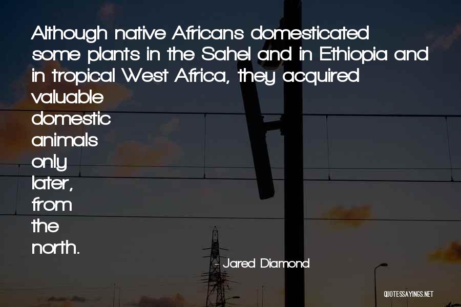 Domestic Quotes By Jared Diamond