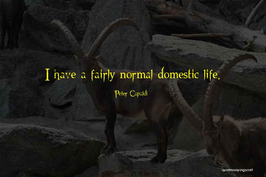 Domestic Quotes By Peter Capaldi