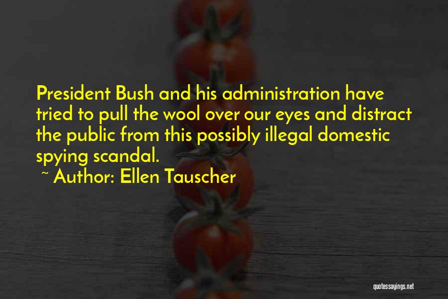 Domestic Spying Quotes By Ellen Tauscher