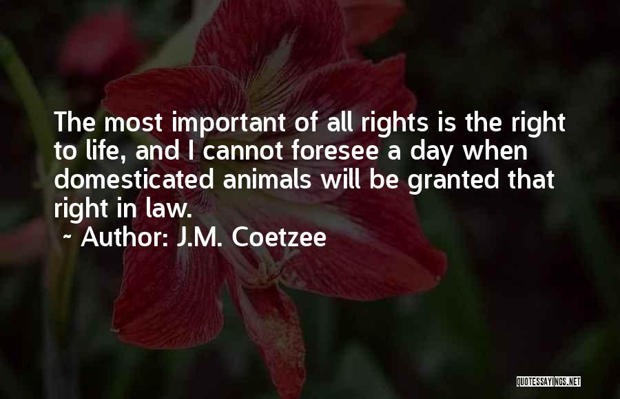 Domesticated Animals Quotes By J.M. Coetzee