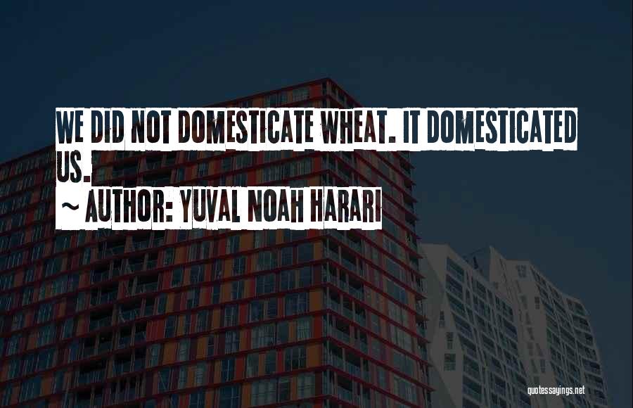 Domesticated Quotes By Yuval Noah Harari
