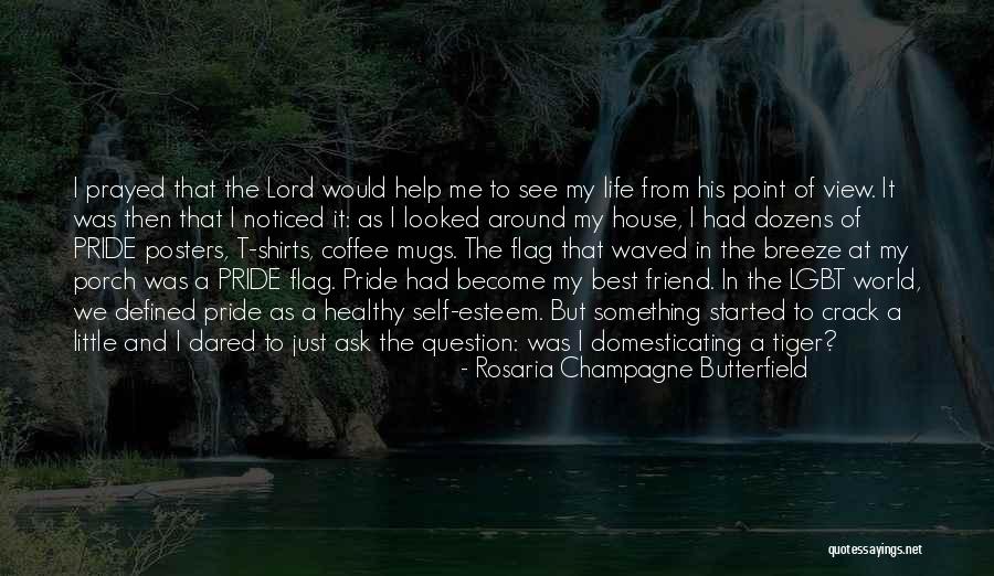 Domesticating Quotes By Rosaria Champagne Butterfield Domesticating Quotes By Rosaria Champagne Butterfield