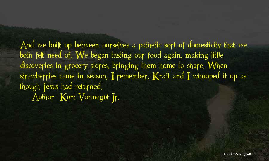 Domesticity Quotes By Kurt Vonnegut Jr.