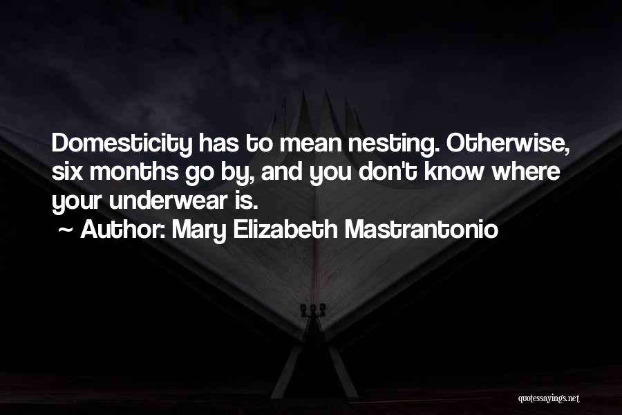 Domesticity Quotes By Mary Elizabeth Mastrantonio