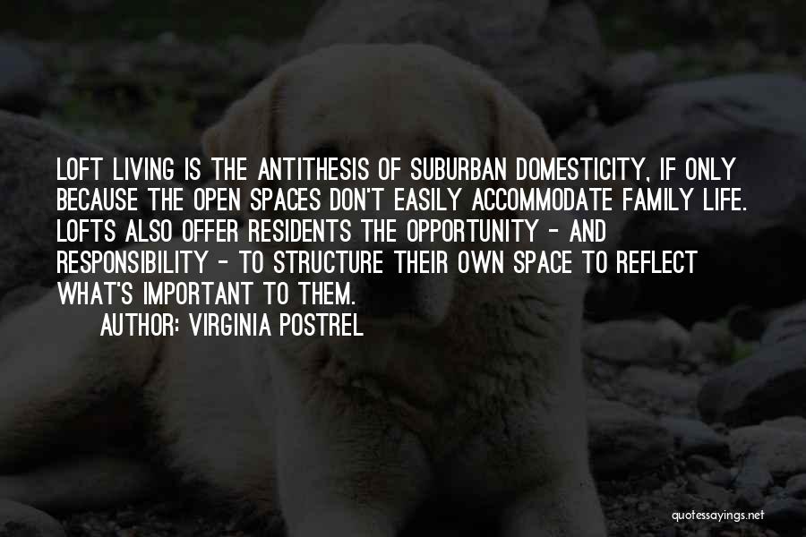 Domesticity Quotes By Virginia Postrel