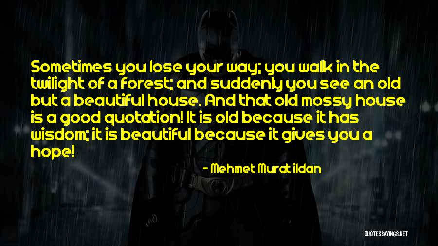 Domiciliary Estate Quotes By Mehmet Murat Ildan Domiciliary Estate Quotes By Mehmet Murat Ildan