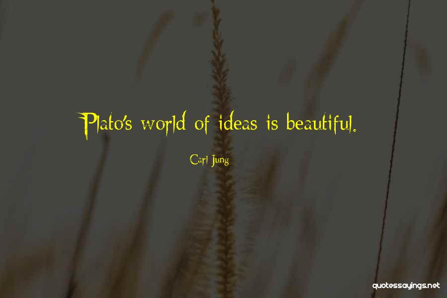 Domicilio Habana Quotes By Carl Jung
