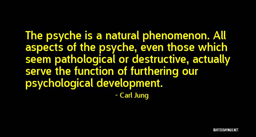 Dominador Significado Quotes By Carl Jung Dominador Significado Quotes By Carl Jung
