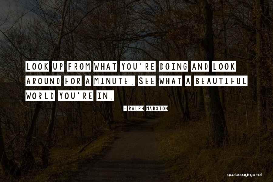 Dominante Frauen Quotes By Ralph Marston Dominante Frauen Quotes By Ralph Marston