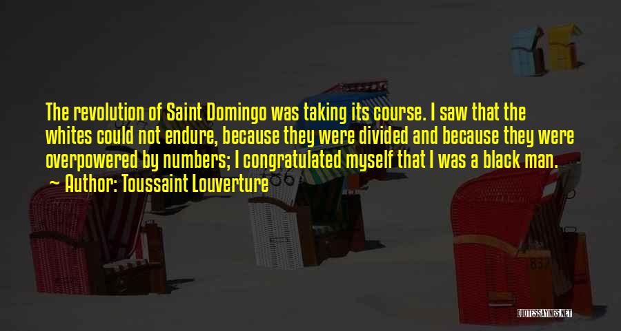 Domingo Quotes By Toussaint Louverture