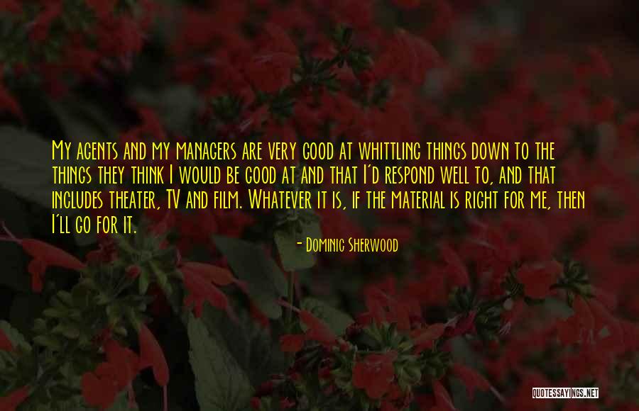 Dominic Sherwood Quotes 2090840 Dominic Sherwood Quotes 2090840