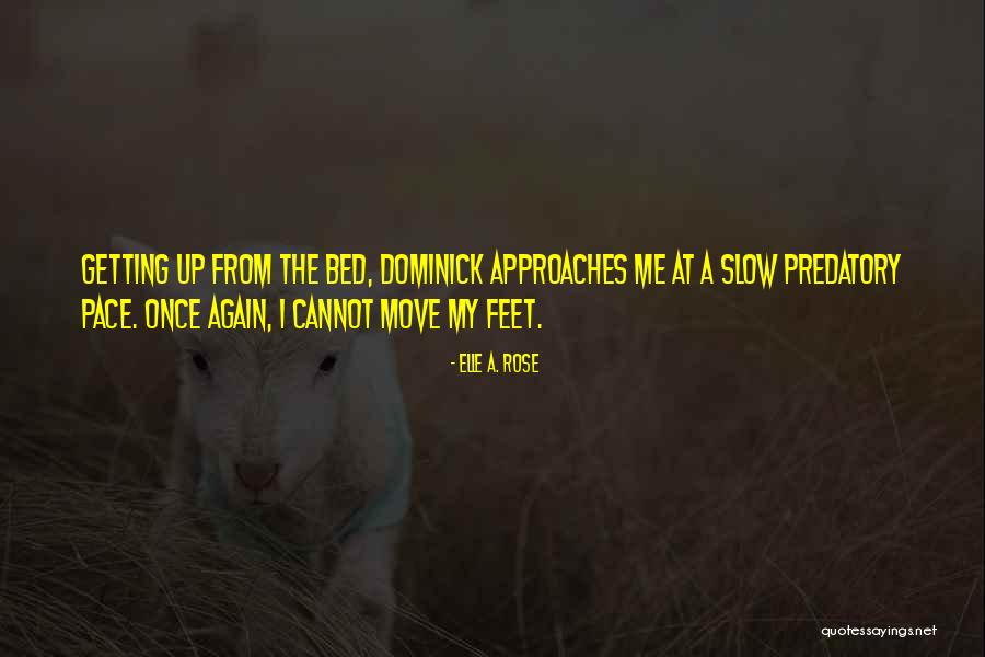 Dominick Quotes By Elle A. Rose Dominick Quotes By Elle A. Rose