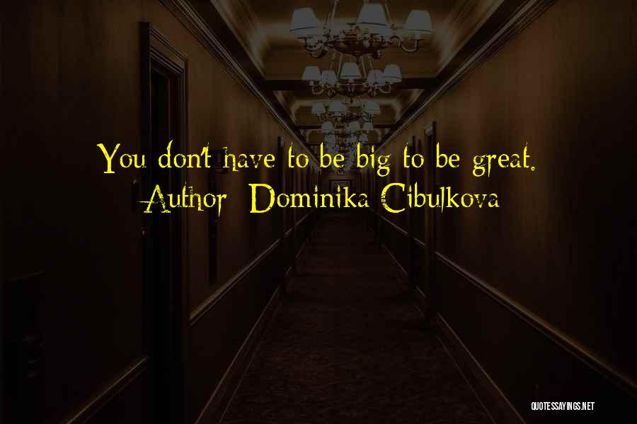 Dominika Cibulkova Quotes 1099923