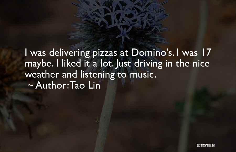 Domino's Quotes By Tao Lin