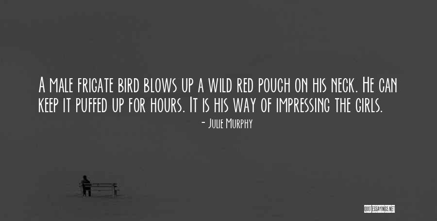 Domiro Quotes By Julie Murphy Domiro Quotes By Julie Murphy