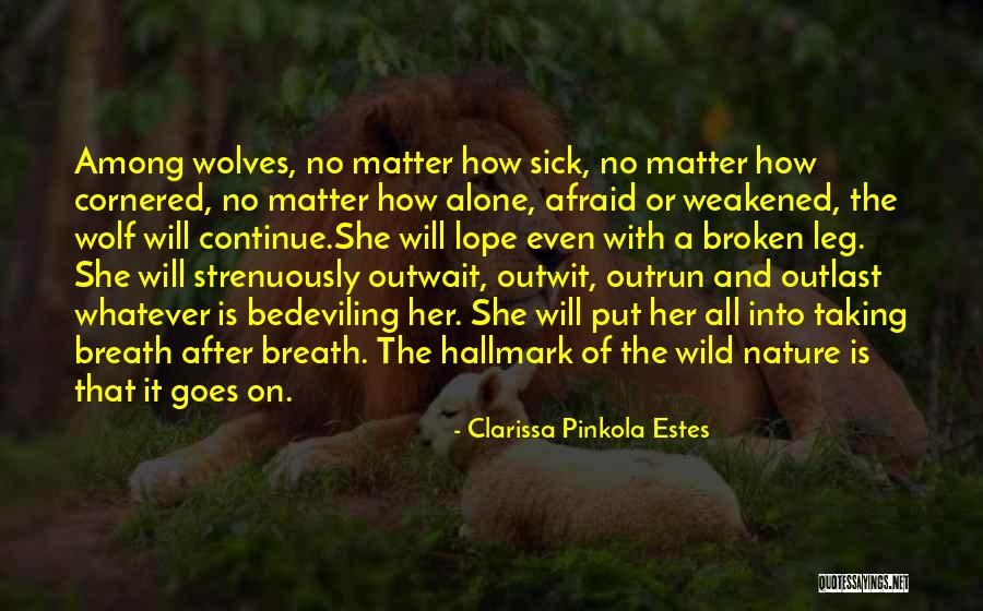 Domitilla The Elder Quotes By Clarissa Pinkola Estes Domitilla The Elder Quotes By Clarissa Pinkola Estes