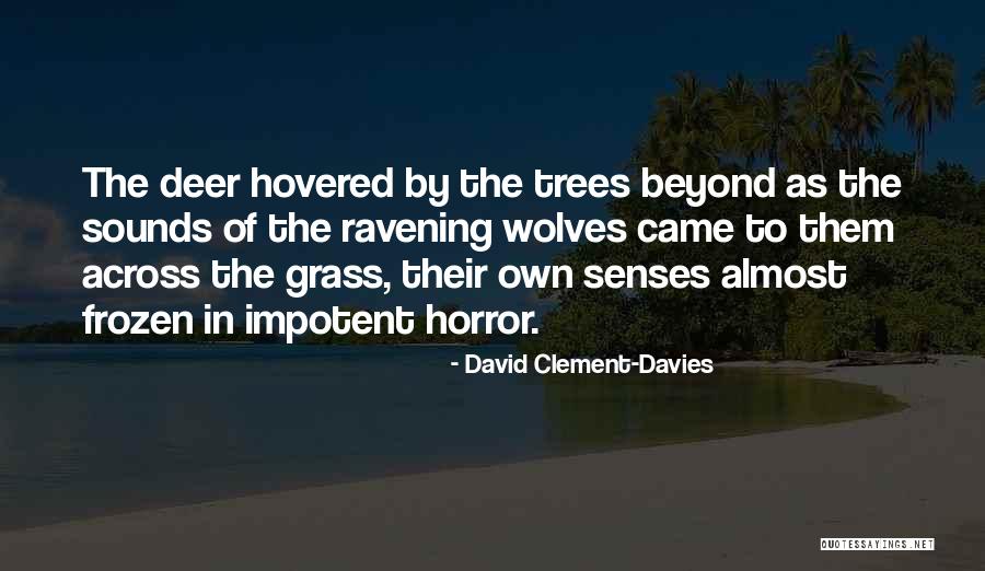 Domno Quotes By David Clement-Davies Domno Quotes By David Clement-Davies