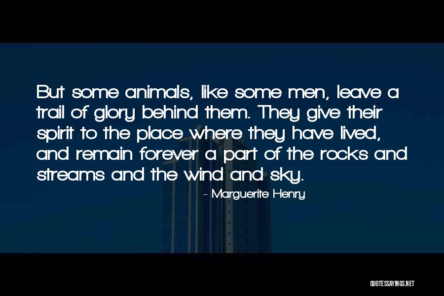 Domoney Funeral Home Quotes By Marguerite Henry Domoney Funeral Home Quotes By Marguerite Henry