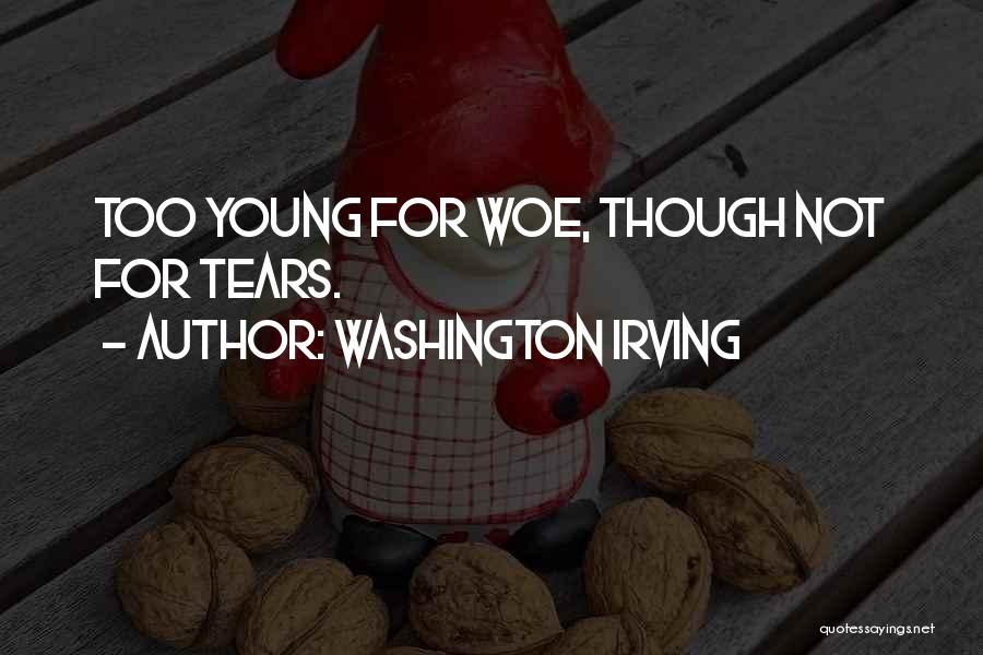 Don 27t Stress Quotes By Washington Irving
