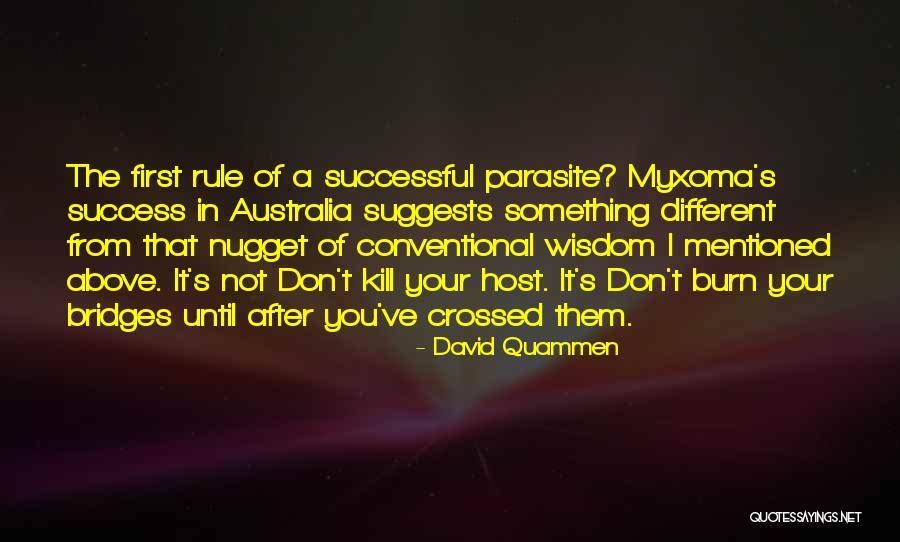 Don Burn Bridges Quotes By David Quammen