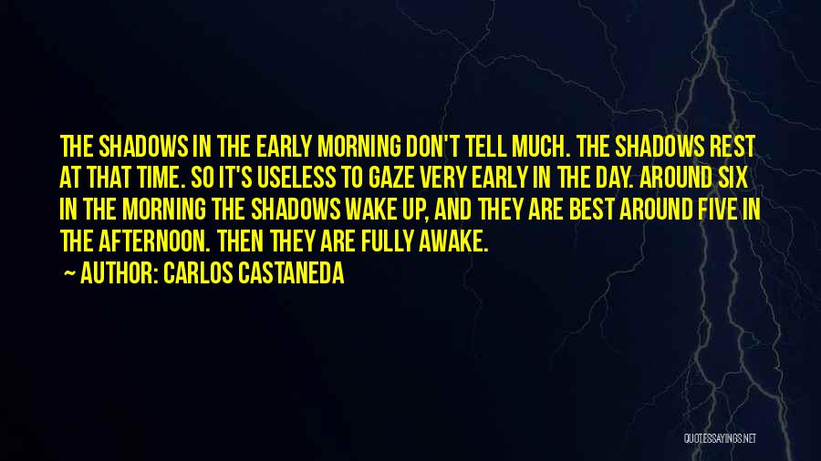 Don Carlos Quotes By Carlos Castaneda