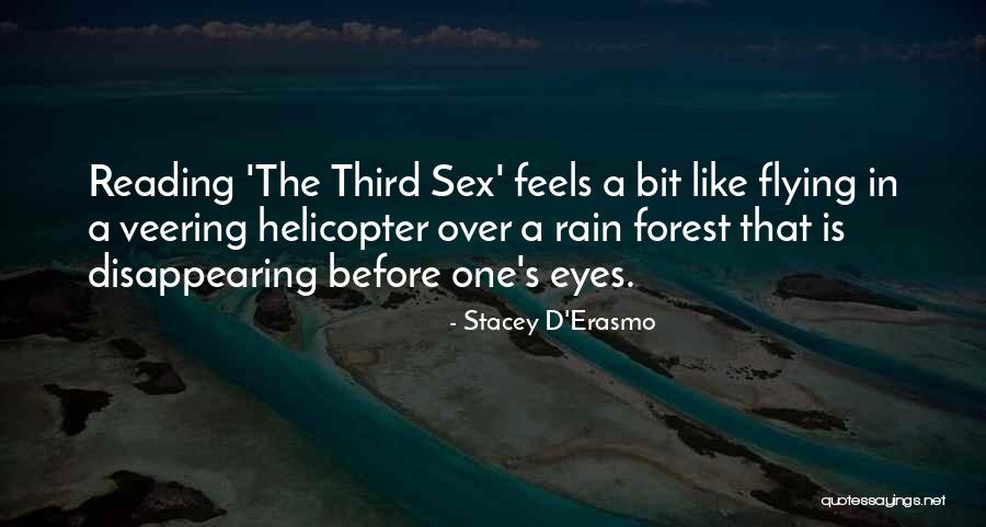 Don Chichotte Quotes By Stacey D'Erasmo Don Chichotte Quotes By Stacey D'Erasmo