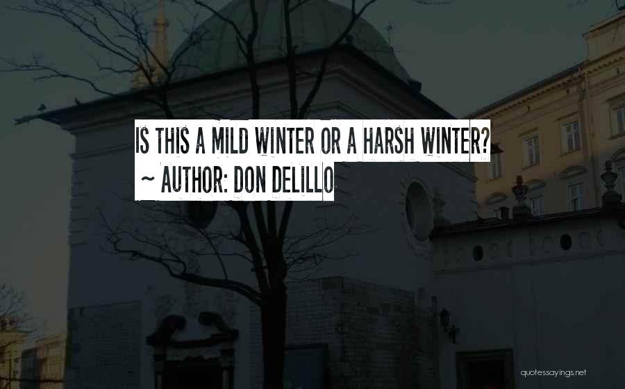 Don DeLillo Quotes 762881