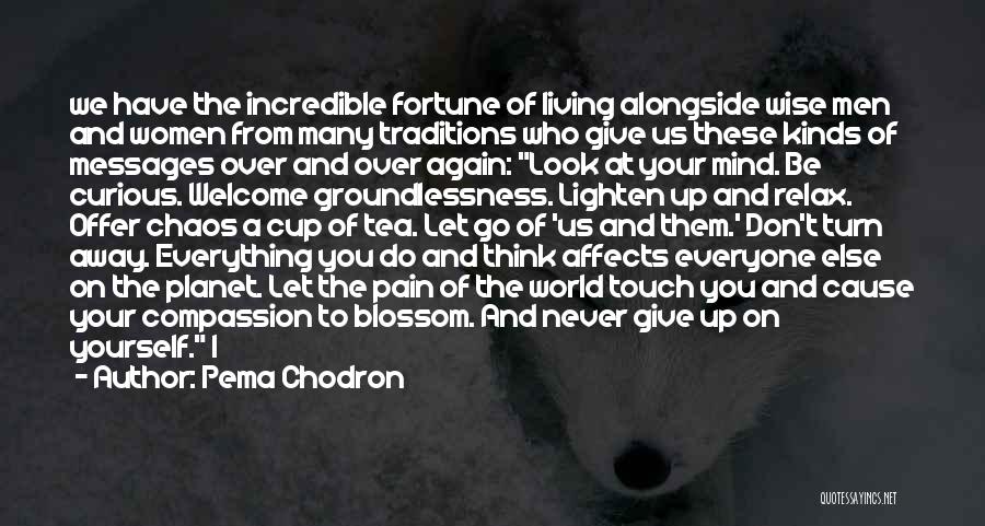 Don Give Up On Us Quotes By Pema Chodron