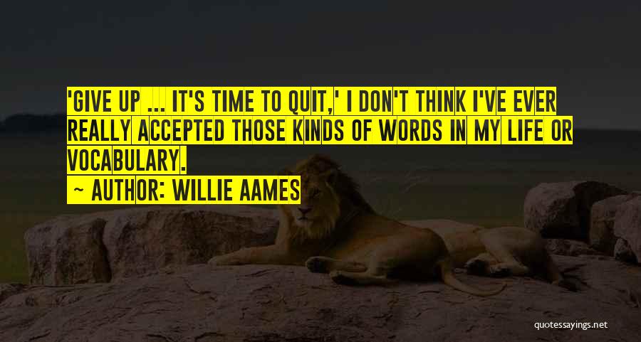 Don Give Up Quotes By Willie Aames