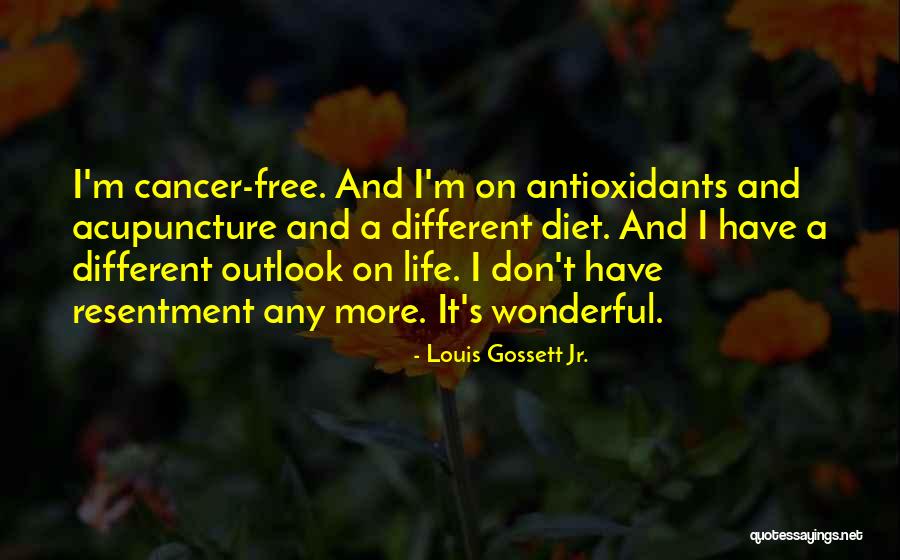 Don Gossett Quotes By Louis Gossett Jr.