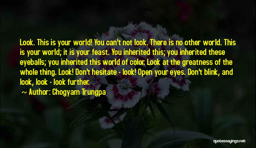 Don Hesitate Quotes By Chogyam Trungpa