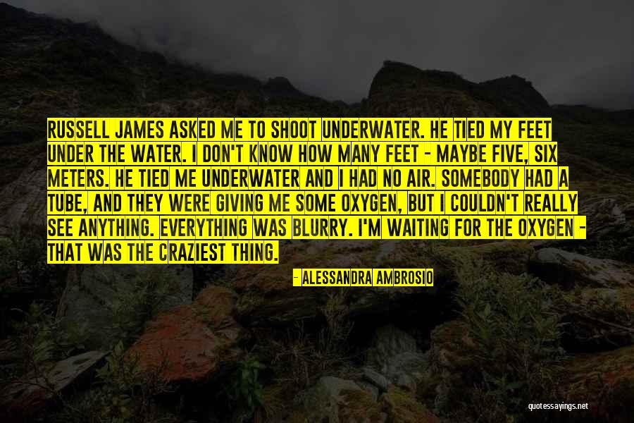 Don James Quotes By Alessandra Ambrosio Don James Quotes By Alessandra Ambrosio