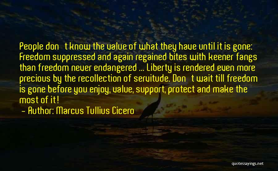 Don Know What You Have Until It Gone Quotes By Marcus Tullius Cicero