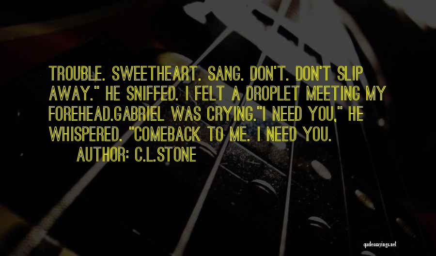 Don Let Me Slip Away Quotes By C.L.Stone