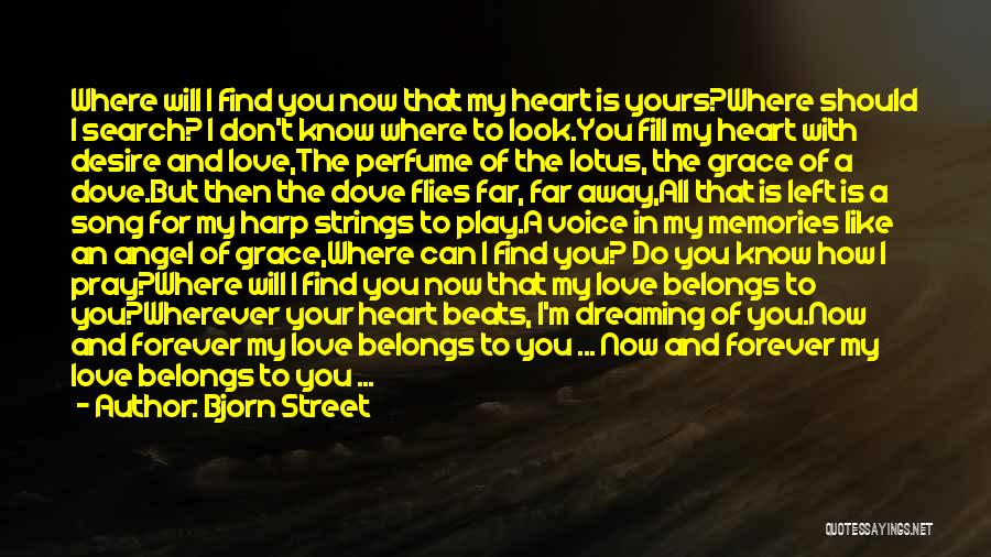 Don Look For Love Quotes By Bjorn Street