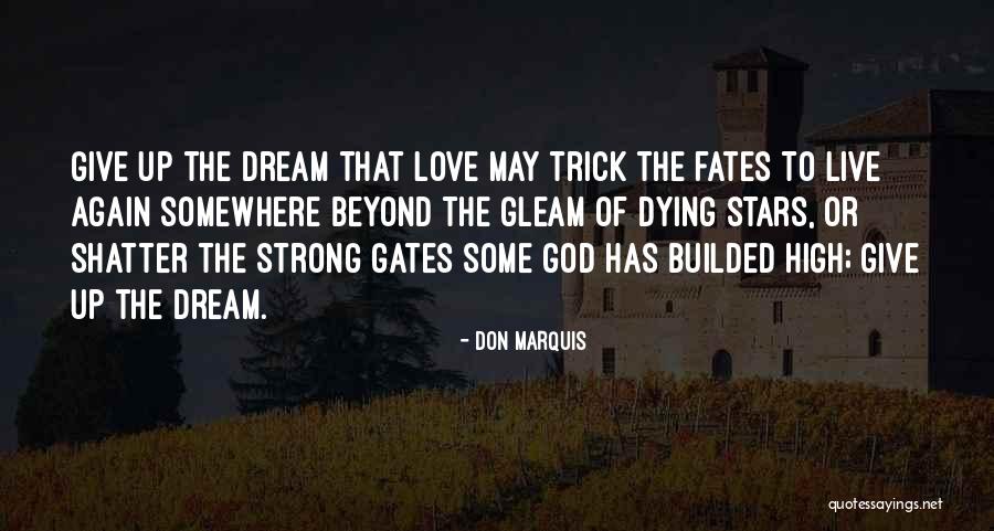 Don Marquis Quotes 1511555